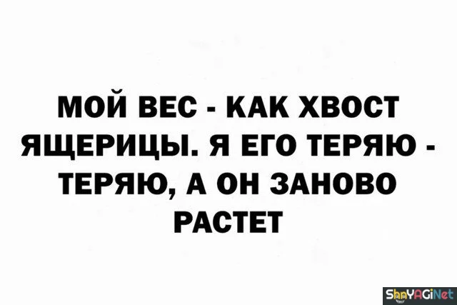Сборник цитат, бьющих прямо в цель цитаты, приколы, юмор, фразы, жизнь