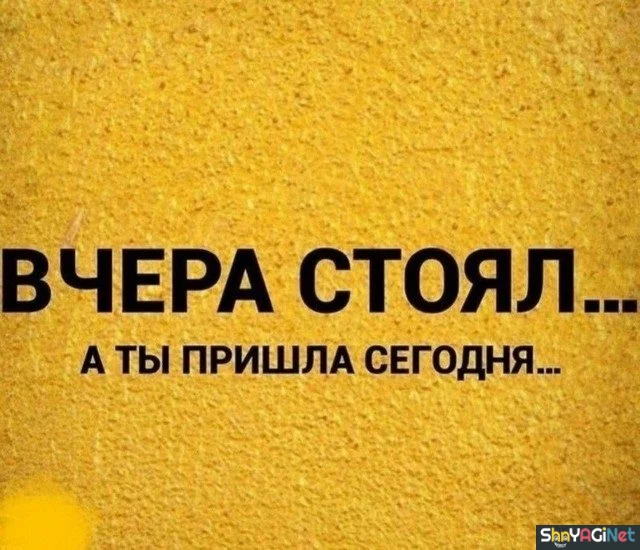 Сборник цитат, бьющих прямо в цель цитаты, приколы, юмор, фразы, жизнь