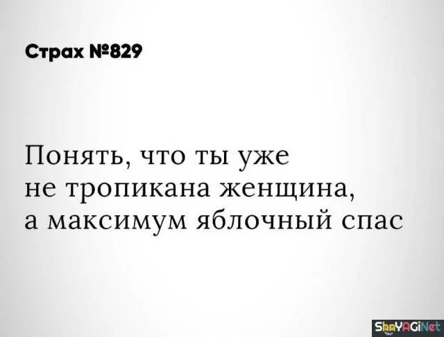 Сборник цитат, бьющих прямо в цель цитаты, приколы, юмор, фразы, жизнь