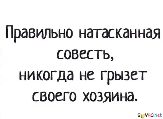 Сборник цитат, бьющих прямо в цель цитаты, приколы, юмор, фразы, жизнь