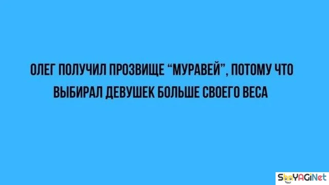 Сборник цитат, бьющих прямо в цель цитаты, приколы, юмор, фразы, жизнь