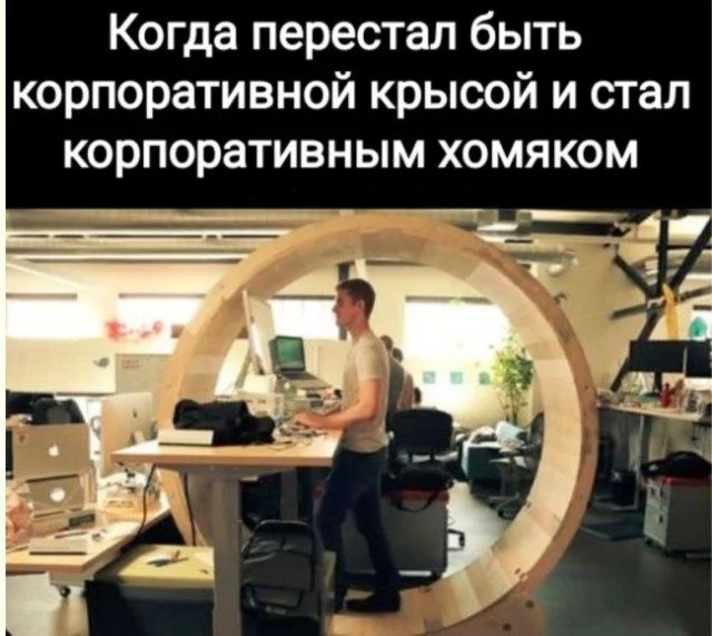 Язвительный юмор премиум-класса юмор, приколы, картинки, сатира, подборка