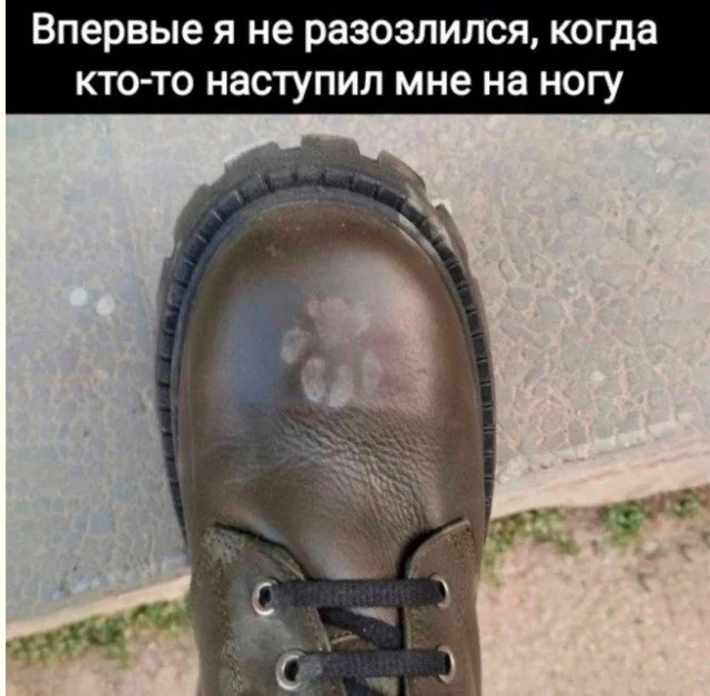 Язвительный юмор премиум-класса юмор, приколы, картинки, сатира, подборка