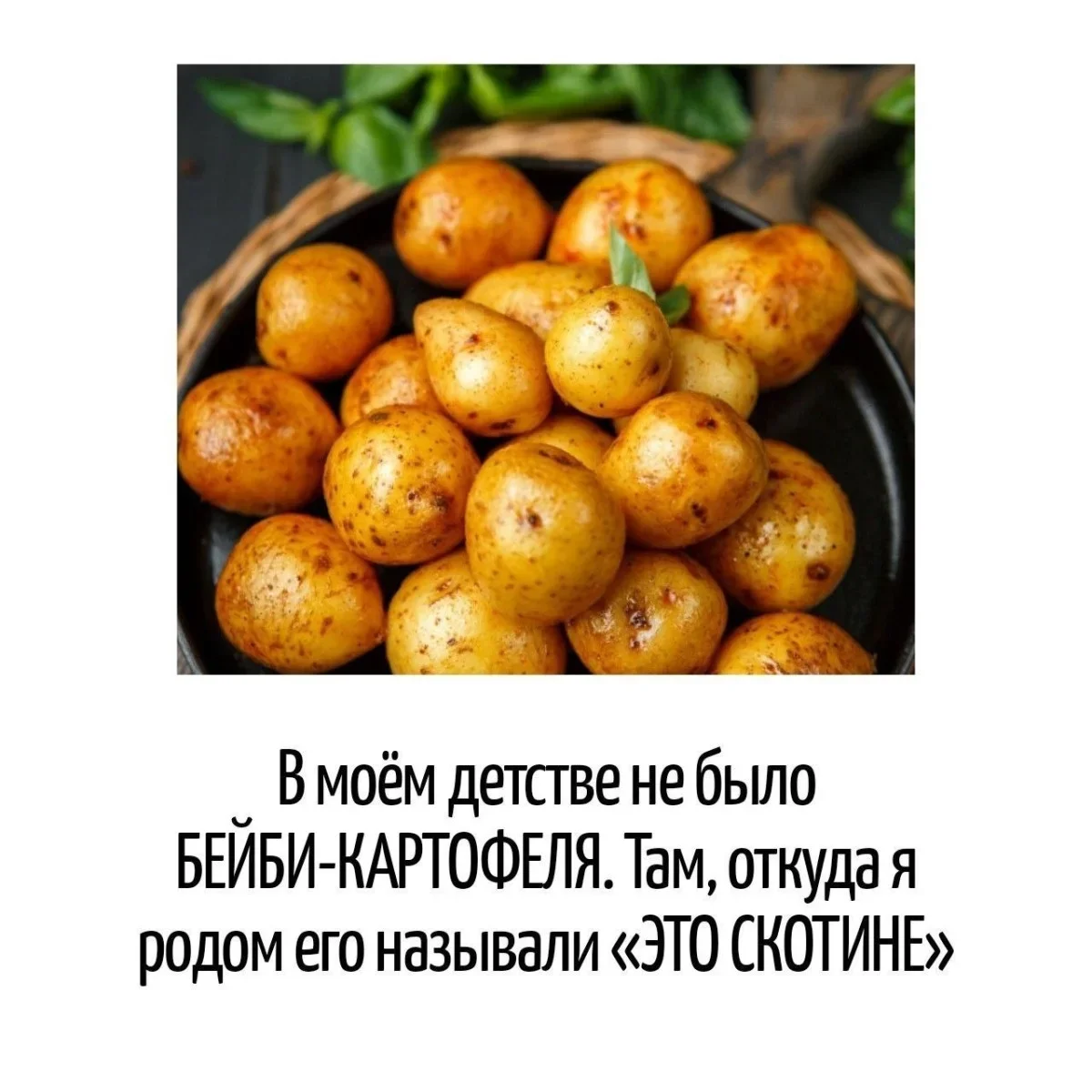 Лингвистические ловушки: 20 каламбуров для зарядки ума