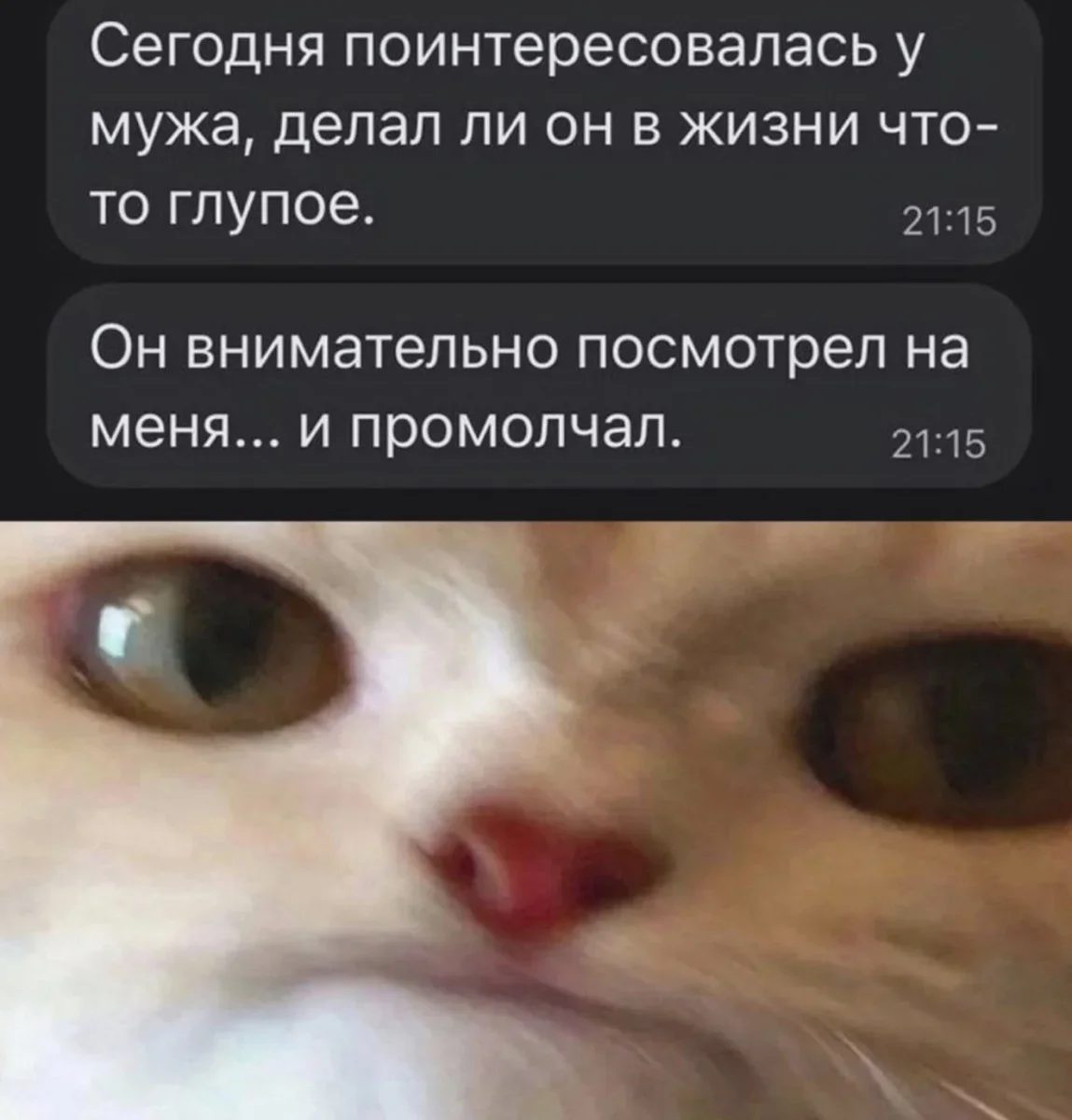 Вторник, который выбесил всех: мемная подборка дня Вторник, который выбесил всех: мемная подборка дня юмор, мемы, приколы, подборка, вторник