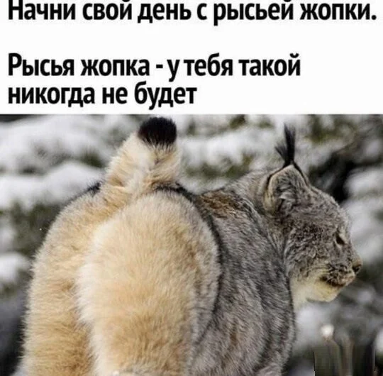 Пятница в среду: мощная порция мемов приколы, мемы, юмор, подборка, картинки