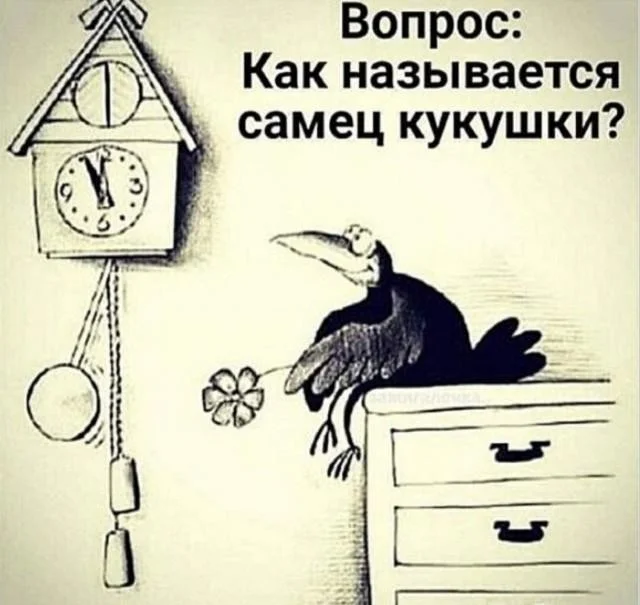 Порция смеха на «маленькую пятницу» мемы, приколы, юмор, картинки, настроение