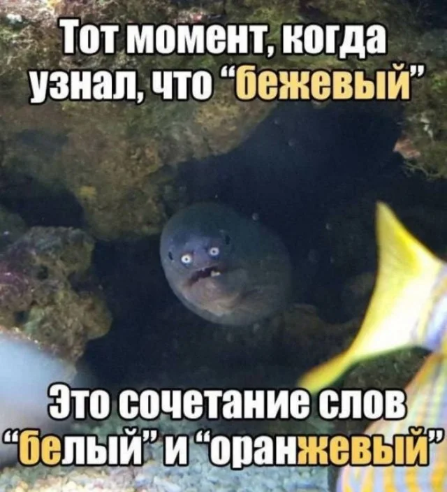Порция смеха на «маленькую пятницу» мемы, приколы, юмор, картинки, настроение