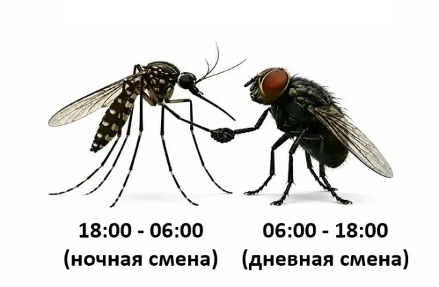 Порция смеха на «маленькую пятницу» мемы, приколы, юмор, картинки, настроение