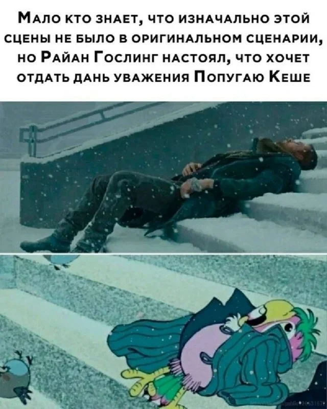 Порция смеха на «маленькую пятницу» мемы, приколы, юмор, картинки, настроение