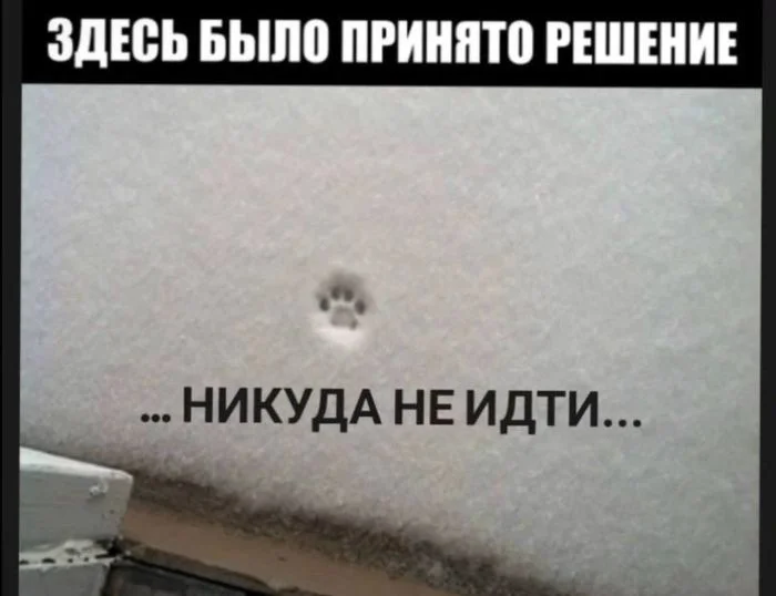 Порция смеха на «маленькую пятницу» мемы, приколы, юмор, картинки, настроение
