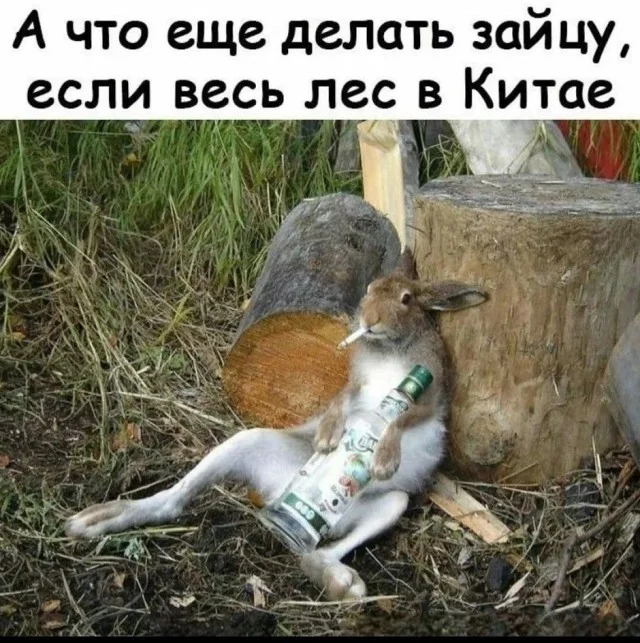 Порция смеха на «маленькую пятницу» мемы, приколы, юмор, картинки, настроение