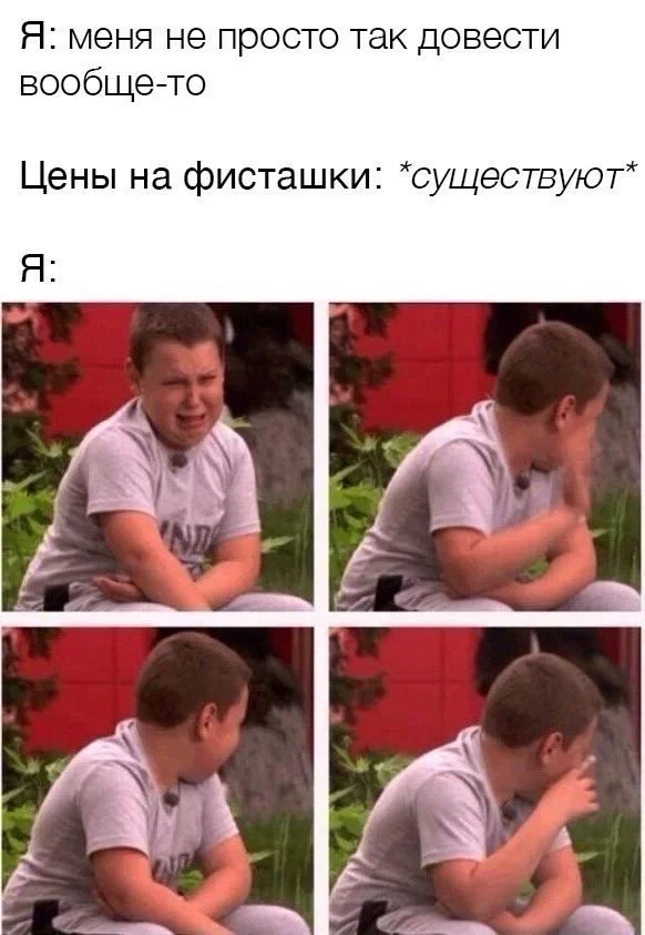 Коты-психотерапевты и ремонт лета: мемная подборка мемы, приколы, коты, юмор, подборка