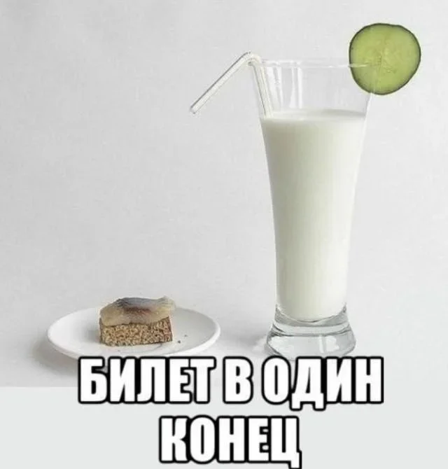 Коты-психотерапевты и ремонт лета: мемная подборка мемы, приколы, коты, юмор, подборка