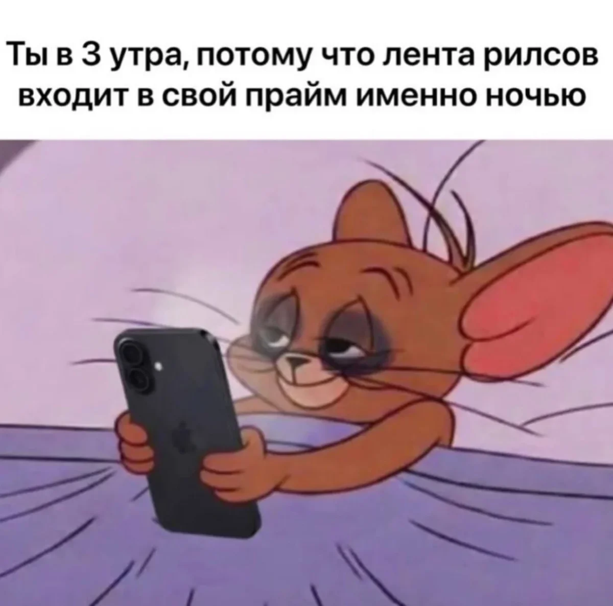 Коты-психотерапевты и ремонт лета: мемная подборка мемы, приколы, коты, юмор, подборка