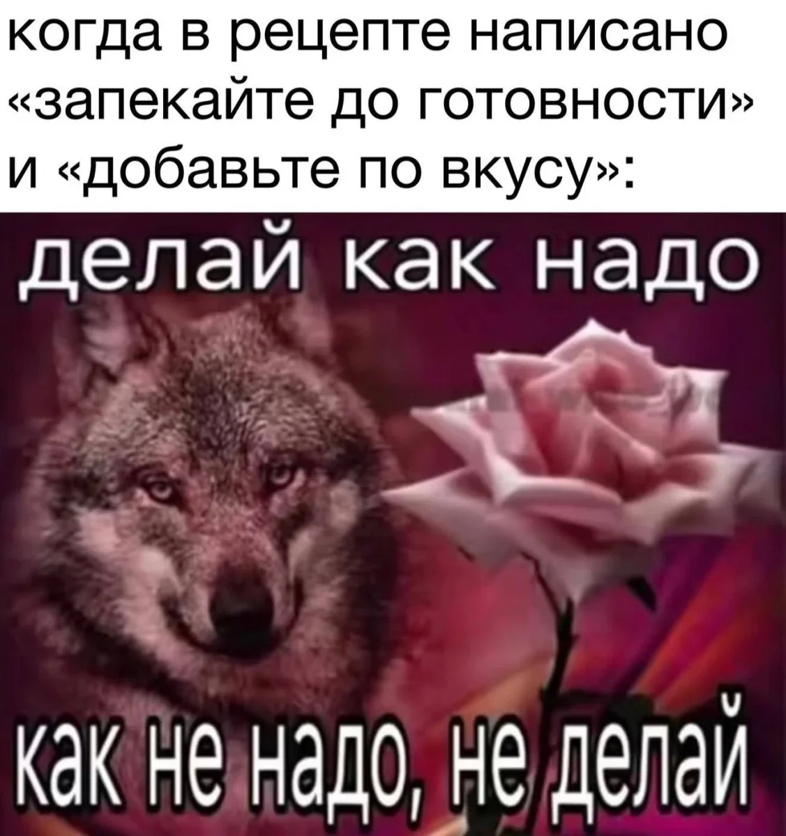 Коты-психотерапевты и ремонт лета: мемная подборка мемы, приколы, коты, юмор, подборка