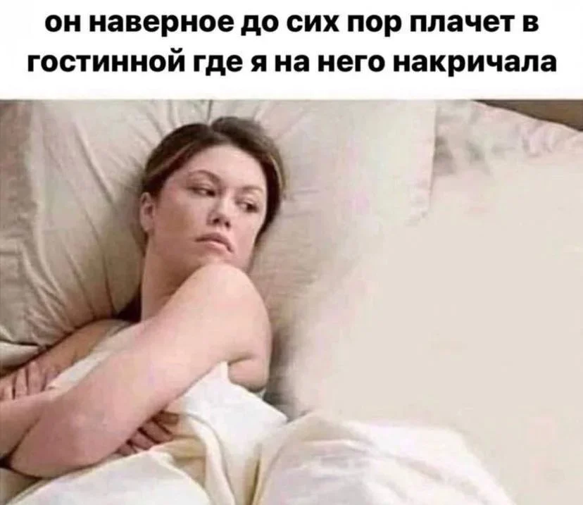 Коты-психотерапевты и ремонт лета: мемная подборка мемы, приколы, коты, юмор, подборка