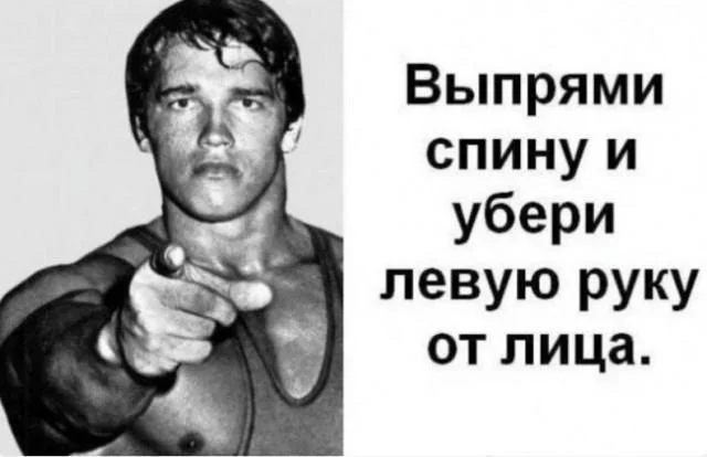 Коты-психотерапевты и ремонт лета: мемная подборка мемы, приколы, коты, юмор, подборка