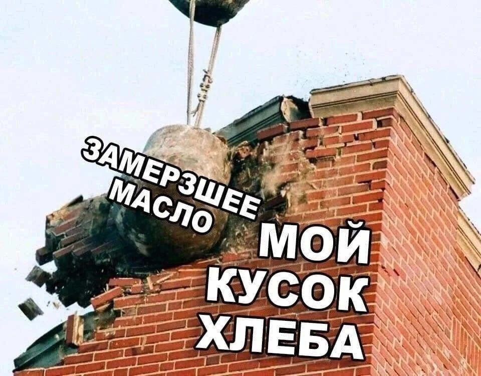 Коты-психотерапевты и ремонт лета: мемная подборка мемы, приколы, коты, юмор, подборка