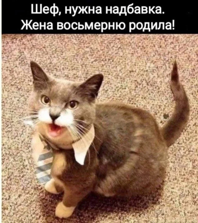 Когда реальность переиграла сценарий приколы, жизненные ситуации, нелепости