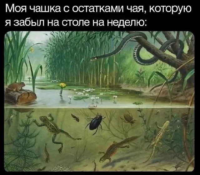 Взрослый юмор: мемы про ипотеку и подушки Взрослый юмор: мемы про ипотеку и подушки мемы, юмор, взрослая жизнь, ортопедическая подушка