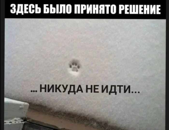 Взрослый юмор: мемы про ипотеку и подушки Взрослый юмор: мемы про ипотеку и подушки мемы, юмор, взрослая жизнь, ортопедическая подушка