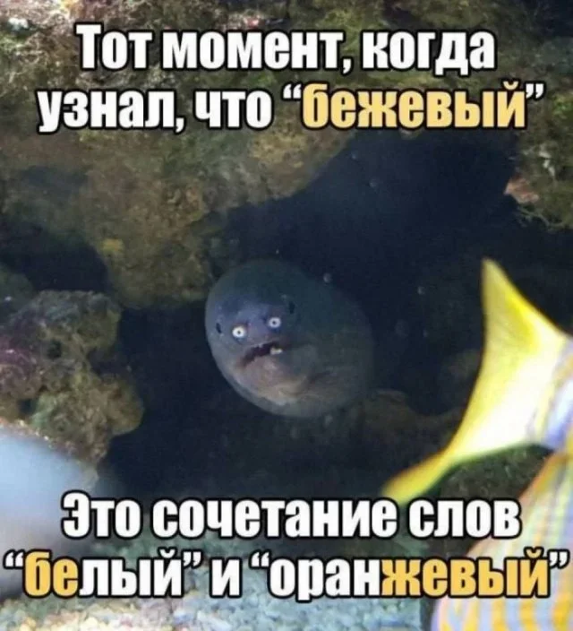 Взрослый юмор: мемы про ипотеку и подушки Взрослый юмор: мемы про ипотеку и подушки мемы, юмор, взрослая жизнь, ортопедическая подушка