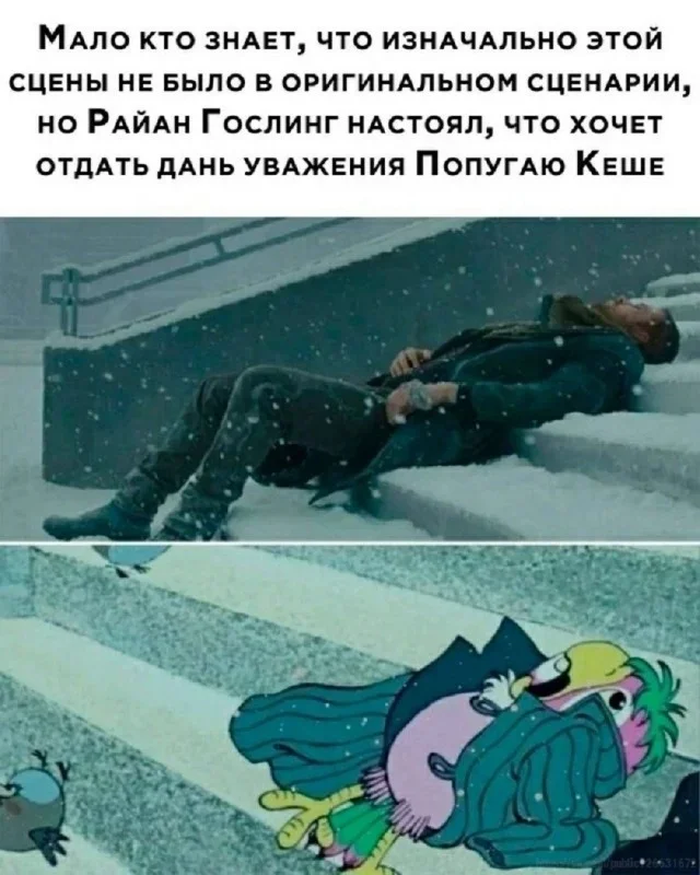 Взрослый юмор: мемы про ипотеку и подушки Взрослый юмор: мемы про ипотеку и подушки мемы, юмор, взрослая жизнь, ортопедическая подушка