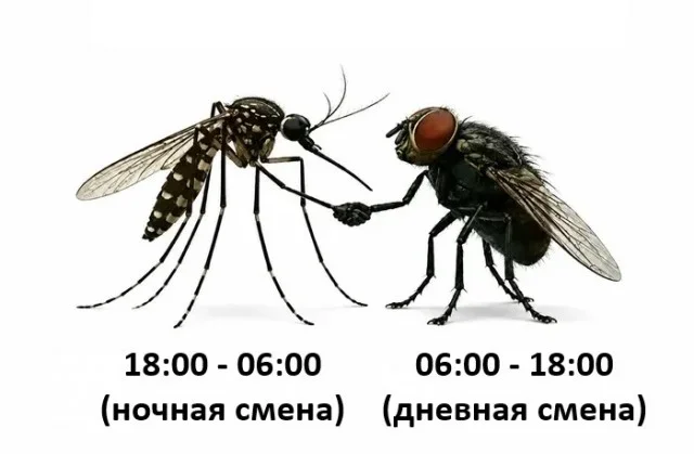 Взрослый юмор: мемы про ипотеку и подушки Взрослый юмор: мемы про ипотеку и подушки мемы, юмор, взрослая жизнь, ортопедическая подушка