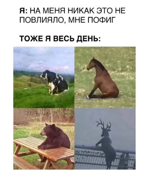 Вечерний угар: 20 фото, которые разрывают Вечерний угар: 20 фото, которые разрывают юмор, мемы, приколы