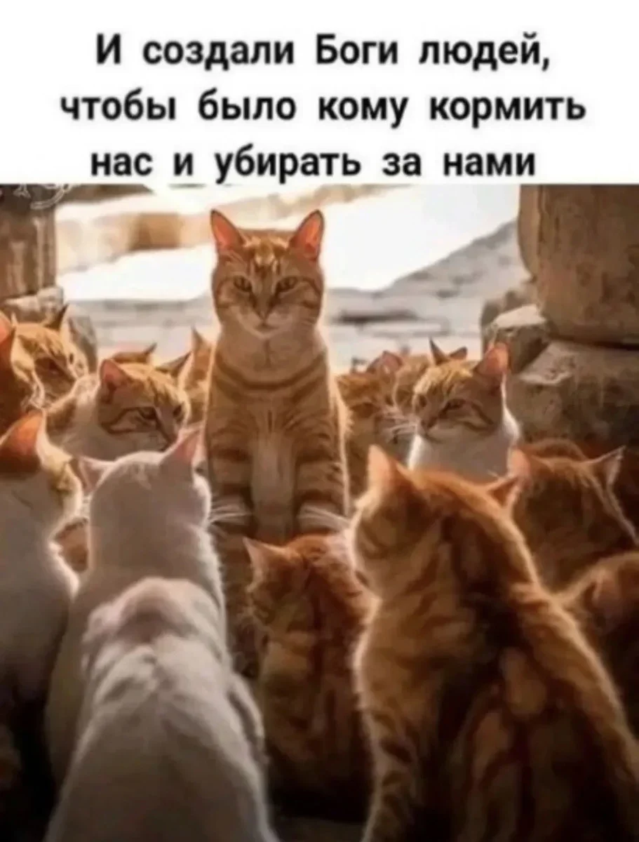 Вечерний угар: 20 фото, которые разрывают Вечерний угар: 20 фото, которые разрывают юмор, мемы, приколы