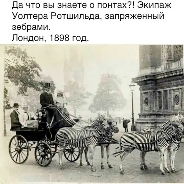 Свежая порция смеха: лучшие мемы недели юмор, мемы, картинки, приколы, позитив