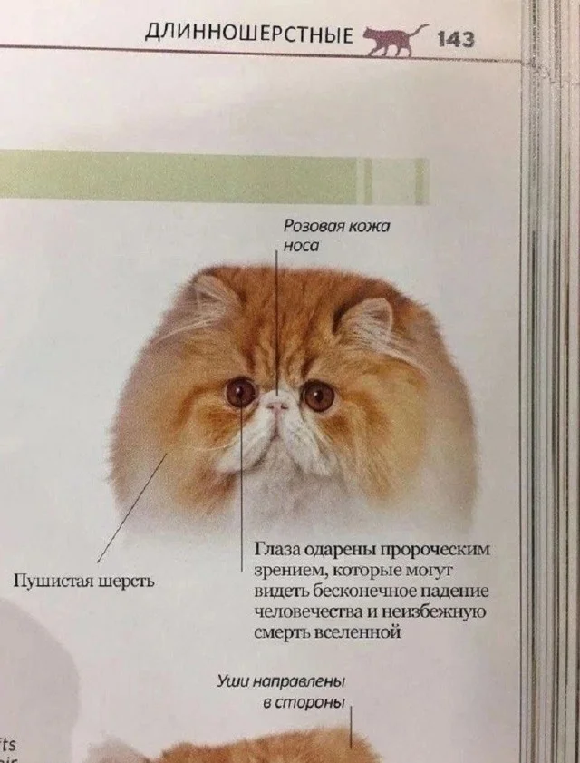 Свежая порция смеха: лучшие мемы недели юмор, мемы, картинки, приколы, позитив