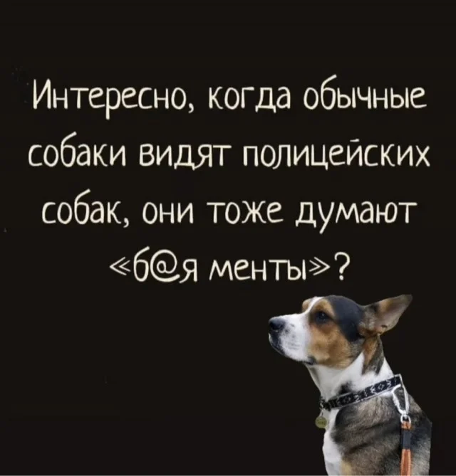 Свежая порция смеха: лучшие мемы недели юмор, мемы, картинки, приколы, позитив