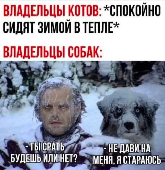 Свежая порция смеха: лучшие мемы недели юмор, мемы, картинки, приколы, позитив