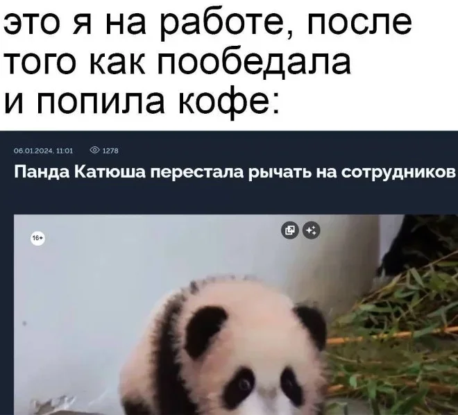 Смешные мемы на утро 4 июня Смешные мемы на утро 4 июня мемы,приколы,юмор,картинки,подборка