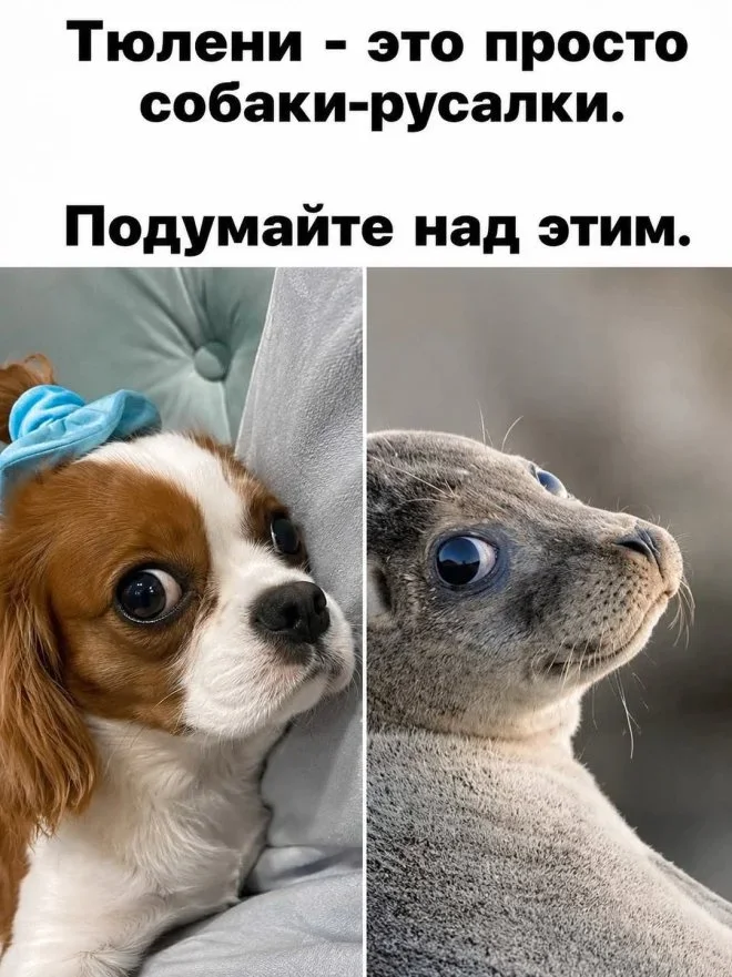 Смешные мемы на утро 4 июня Смешные мемы на утро 4 июня мемы,приколы,юмор,картинки,подборка