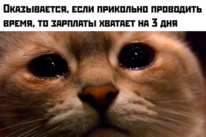 Смешные мемы на утро 4 июня Смешные мемы на утро 4 июня мемы,приколы,юмор,картинки,подборка