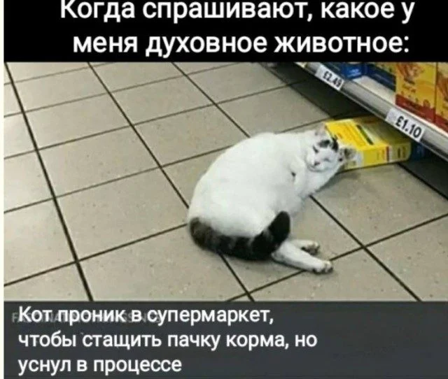 Проклятие поколений: мемы про возрастной диссонанс