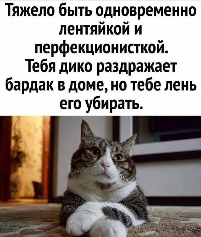 Пятничный угар: мемы, которые спасут твой день пятница, мемы, приколы, юмор, настроение