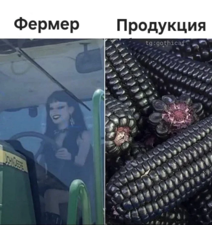 Пятничный угар: мемы, которые спасут твой день пятница, мемы, приколы, юмор, настроение