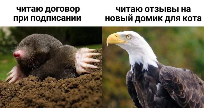 Пятничный угар: мемы, которые спасут твой день пятница, мемы, приколы, юмор, настроение