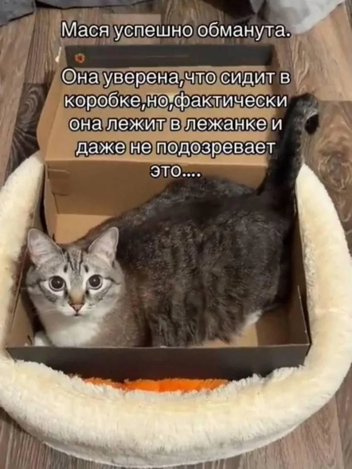Пятничный угар: мемы, которые спасут твой день пятница, мемы, приколы, юмор, настроение