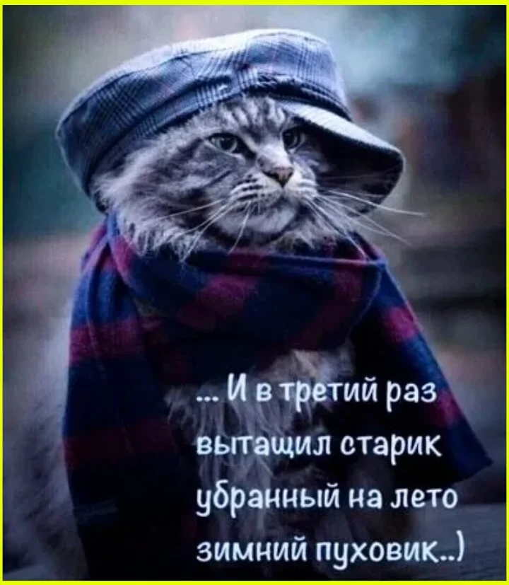 Любовь до гроба... или до сортира?