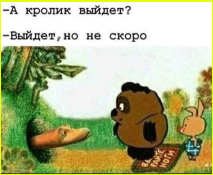 Любовь до гроба... или до сортира? приколы, любовь, разочарование, дача, фото