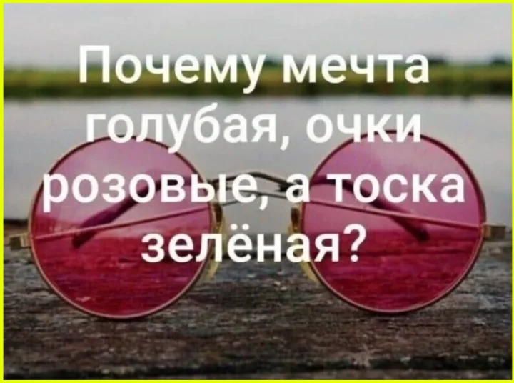 Любовь до гроба... или до сортира? приколы, любовь, разочарование, дача, фото