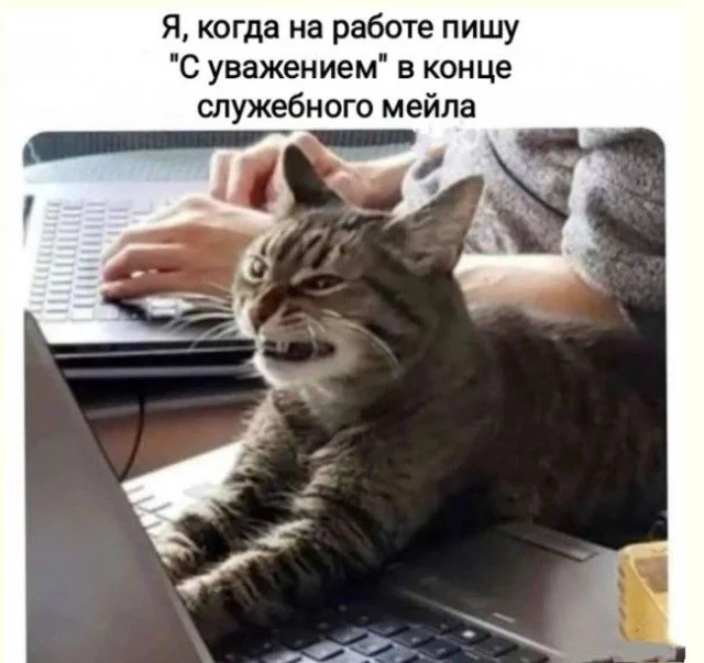 Реальность в бета-тесте: 15 доказательств приколы, баги, реальность, фото, бета-тест