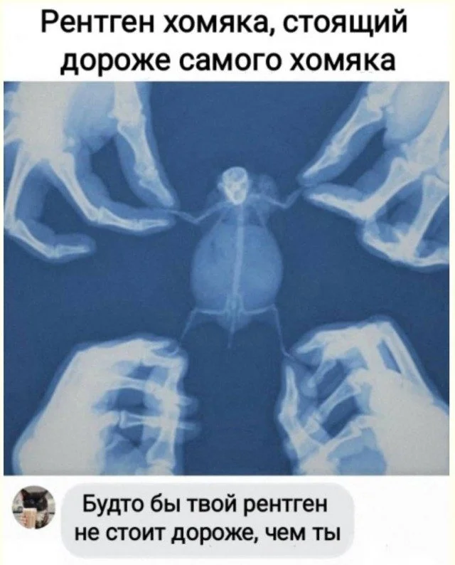 Реальность в бета-тесте: 15 доказательств приколы, баги, реальность, фото, бета-тест