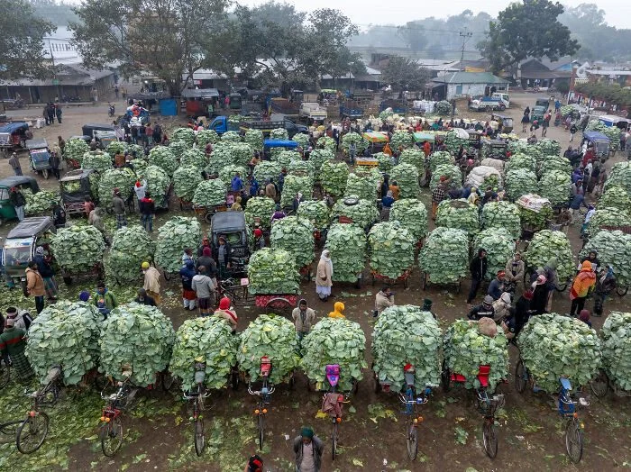 15 фото еды, покоривших жюри World Food Photography Awards 2026 еда, фотография, конкурс, World Food Photography Awards, гастрономия