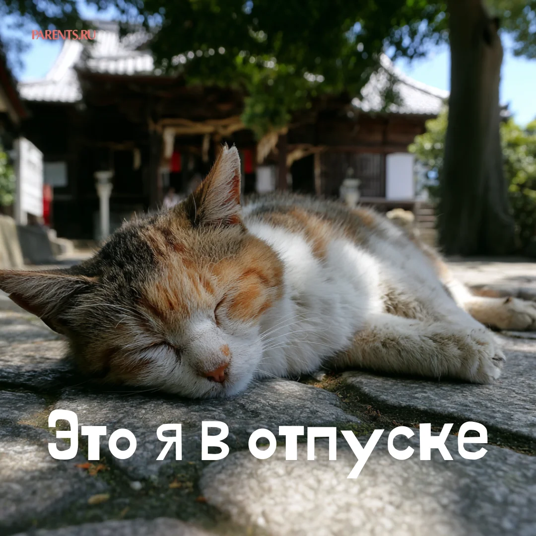 100 открыток «Я в отпуске»: для аватарки и хорошего настроения отпуск, открытки, аватарка, приколы, отдых